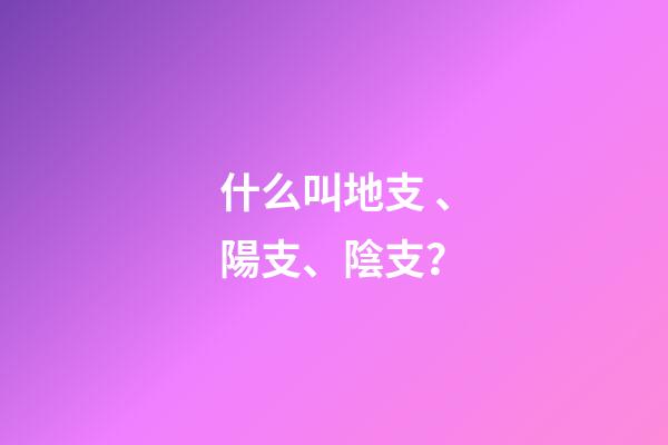 什么叫地支、陽支、陰支？